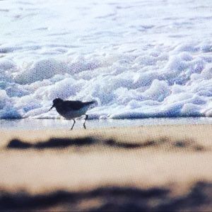 Meet your Posher, Mariel